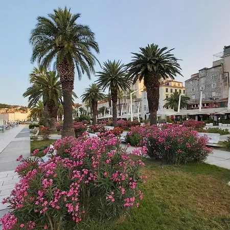 Apartment Studio Mali Jadran